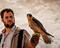 Halcón Peregrino. Cetrería en uruguay. Intercepta Uruguay.